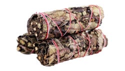 Black Sage 4"