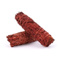 Dragons Blood Sage 6"