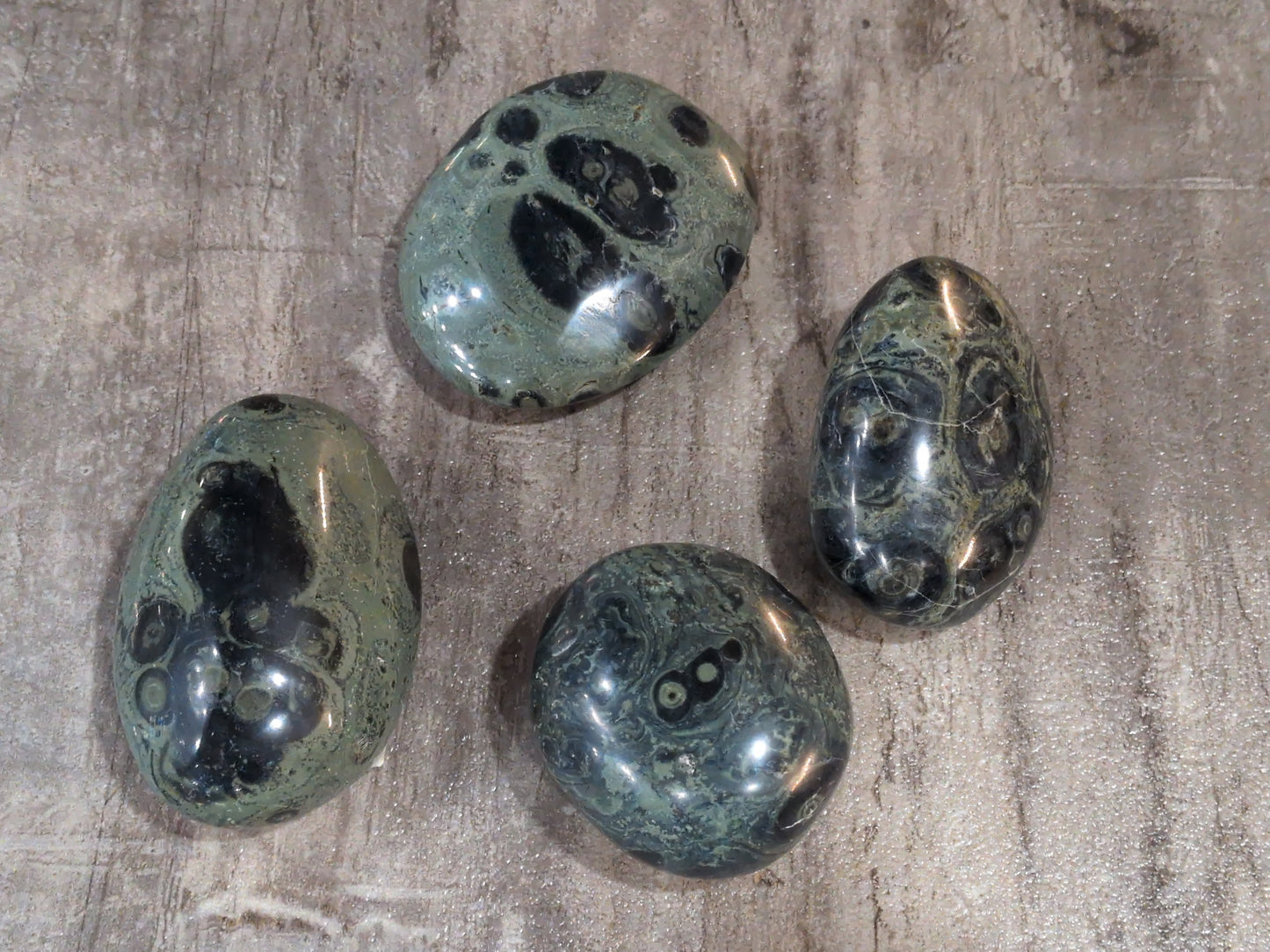 Kambaba Jasper palm stone Priced Each