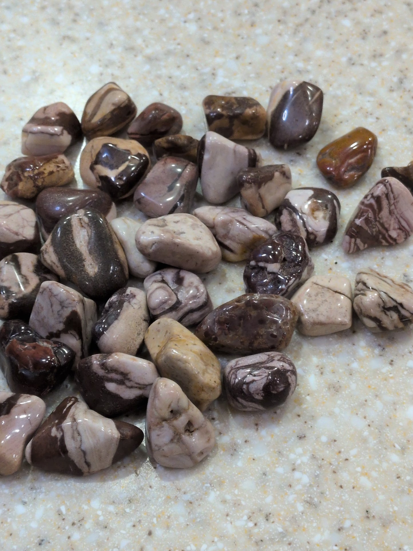 Zebra Jasper Tumbled stone