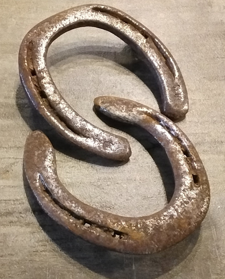 Large Rusty Horseshoe