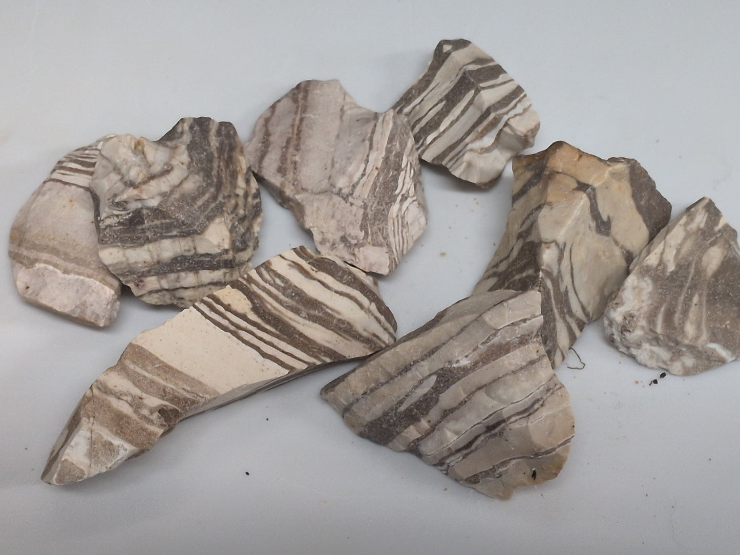 Rough Zebra stone