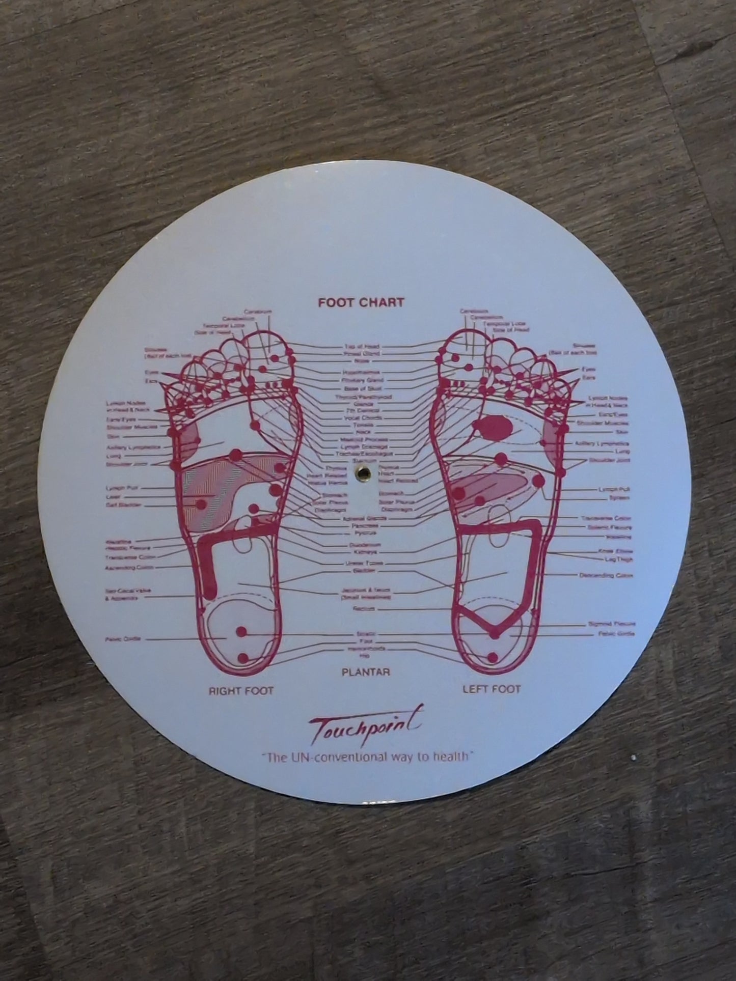 Touch Point Wheel- Foot Reflex Laminated Chart