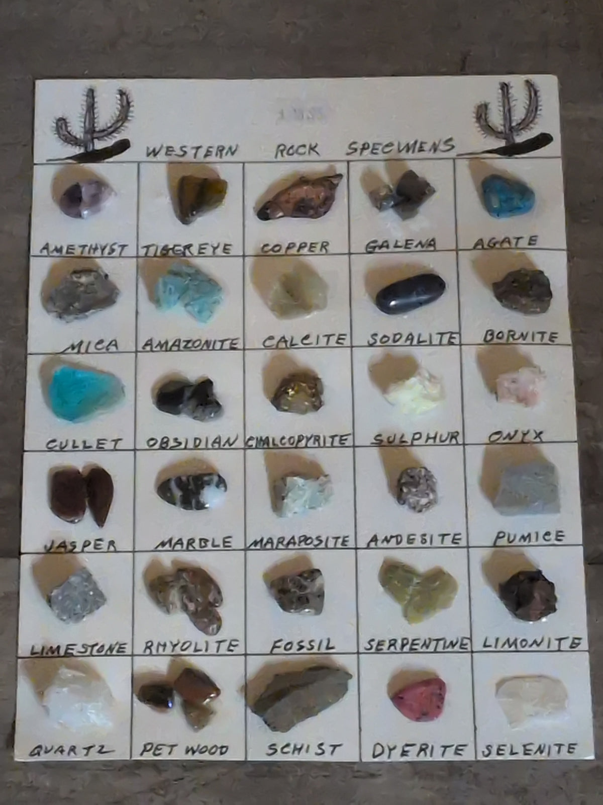 Western Rock Specimens Chart w/ real rock specimens