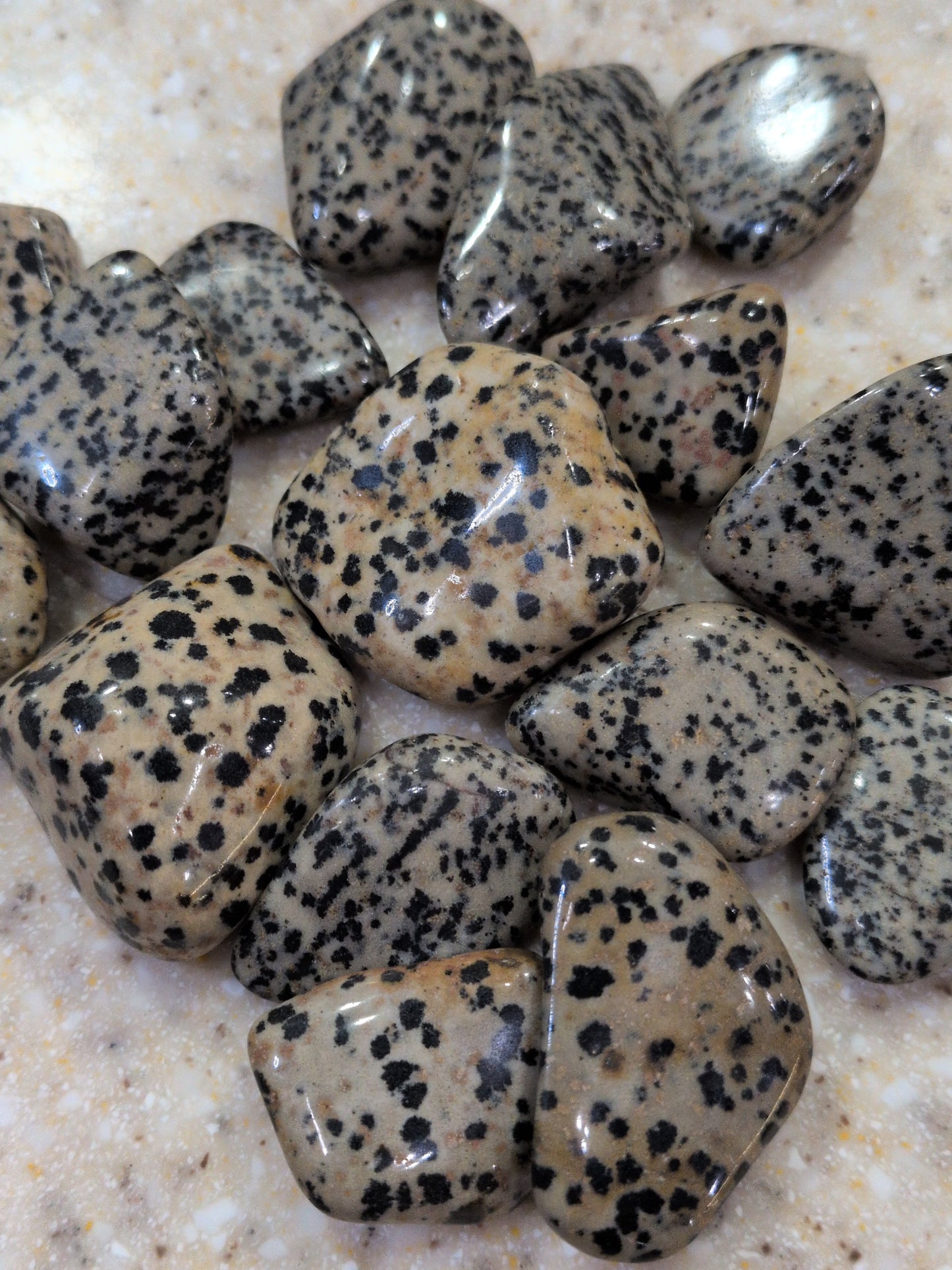 Dalmatian Jasper Tumbled stone