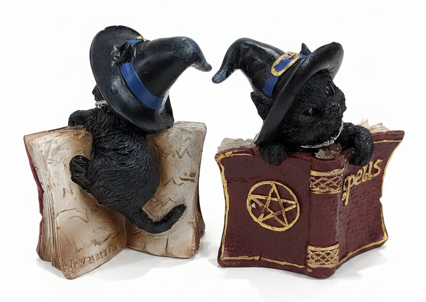 Black Cat W/ Magic Book