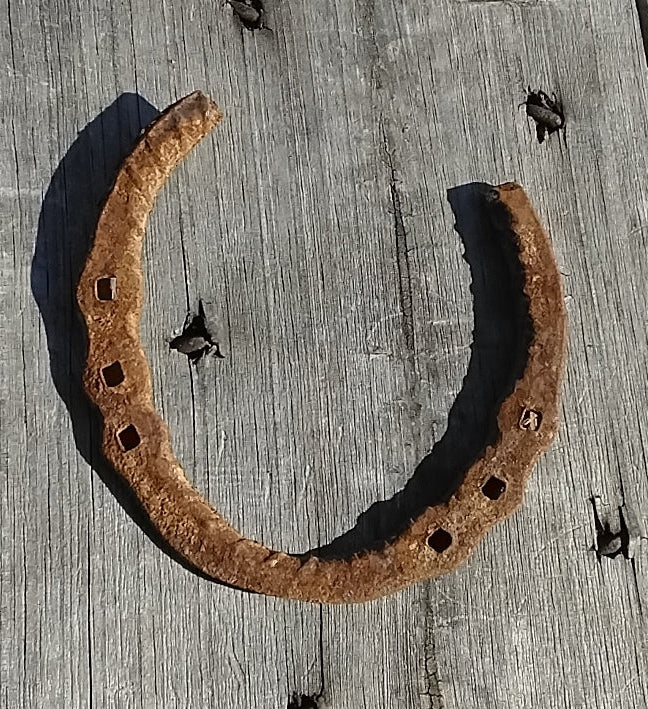 Rusty Horseshoe
