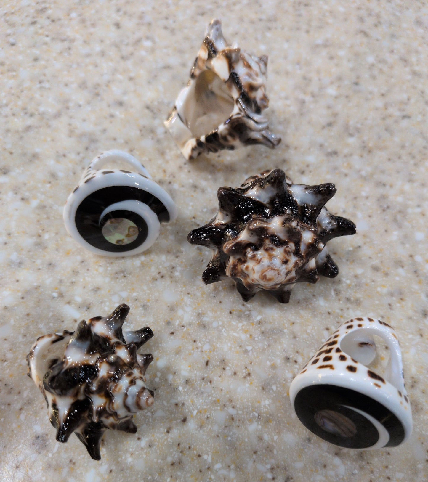 Assorted Shell Rings