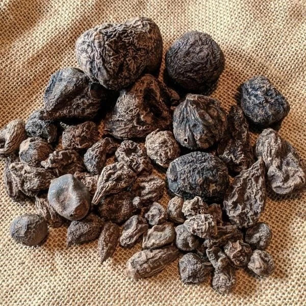 Assorted High John the Conqueror Root