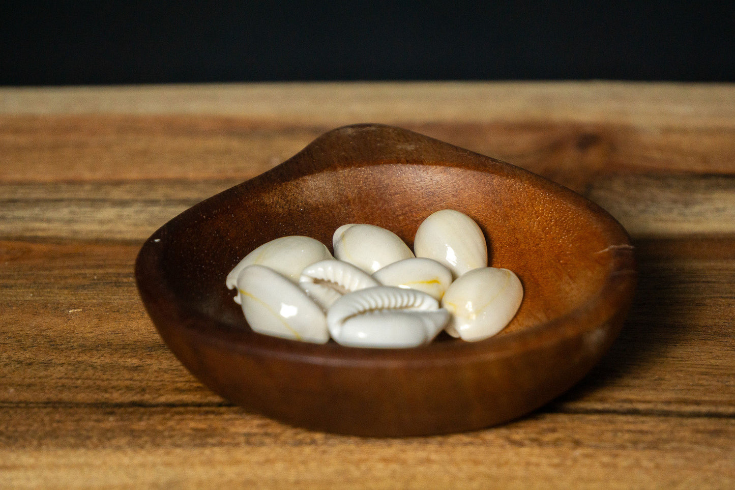 Cowrie Shells