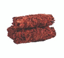 Dragons Blood Sage 4"