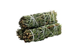 Rosemary Smudge 4"