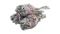White Sage Torch 4"