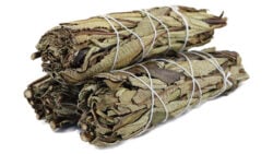 Yerba Santa Smudge 4"