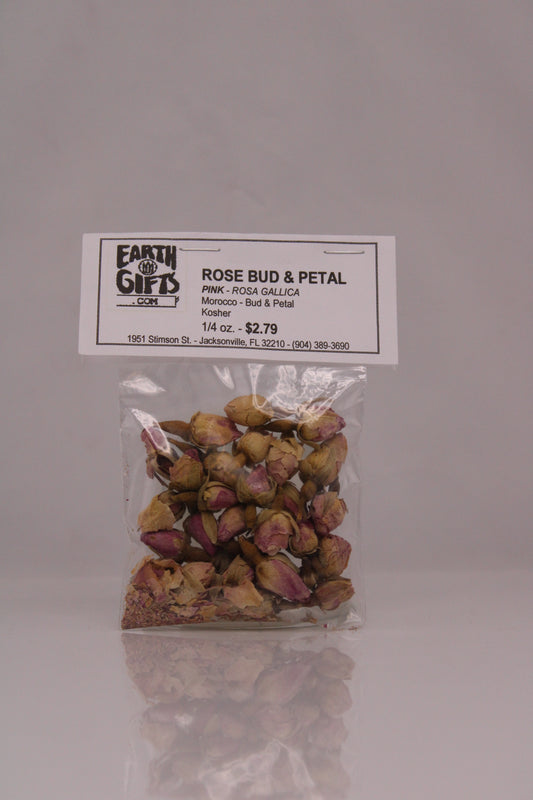 Rose Bud And Petal Pink