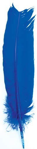 Blue feather 12"