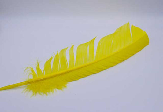 Yellow feather 12"