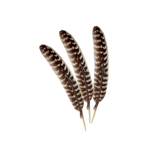 Smudging Feather 5"-6"