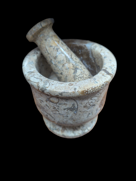 3.5" Fossil Mortor and Pestal