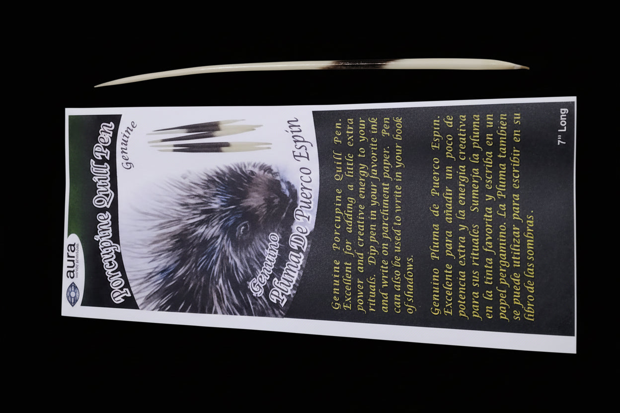 Porcupine Quill Pen