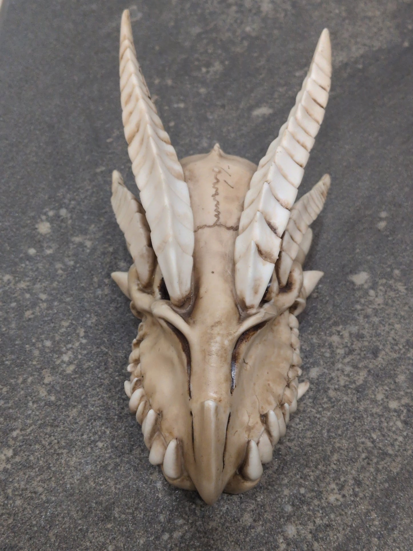 Small Resin Dragon Skull