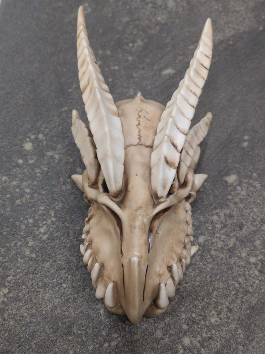 Small Resin Dragon Skull