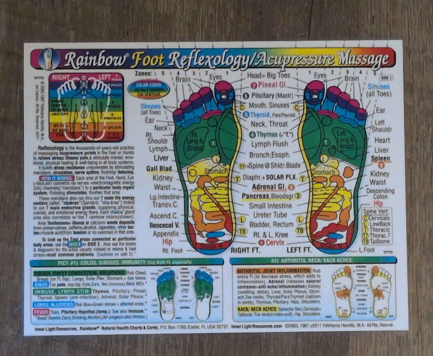 Rainbow Foot Reflexology/Acupuncture Massage Laminated Chart