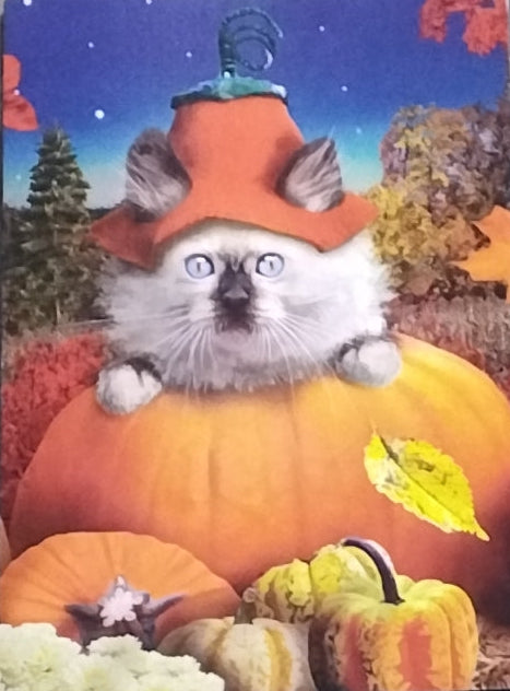 Cat-in-a-Pumpkin Gift Card