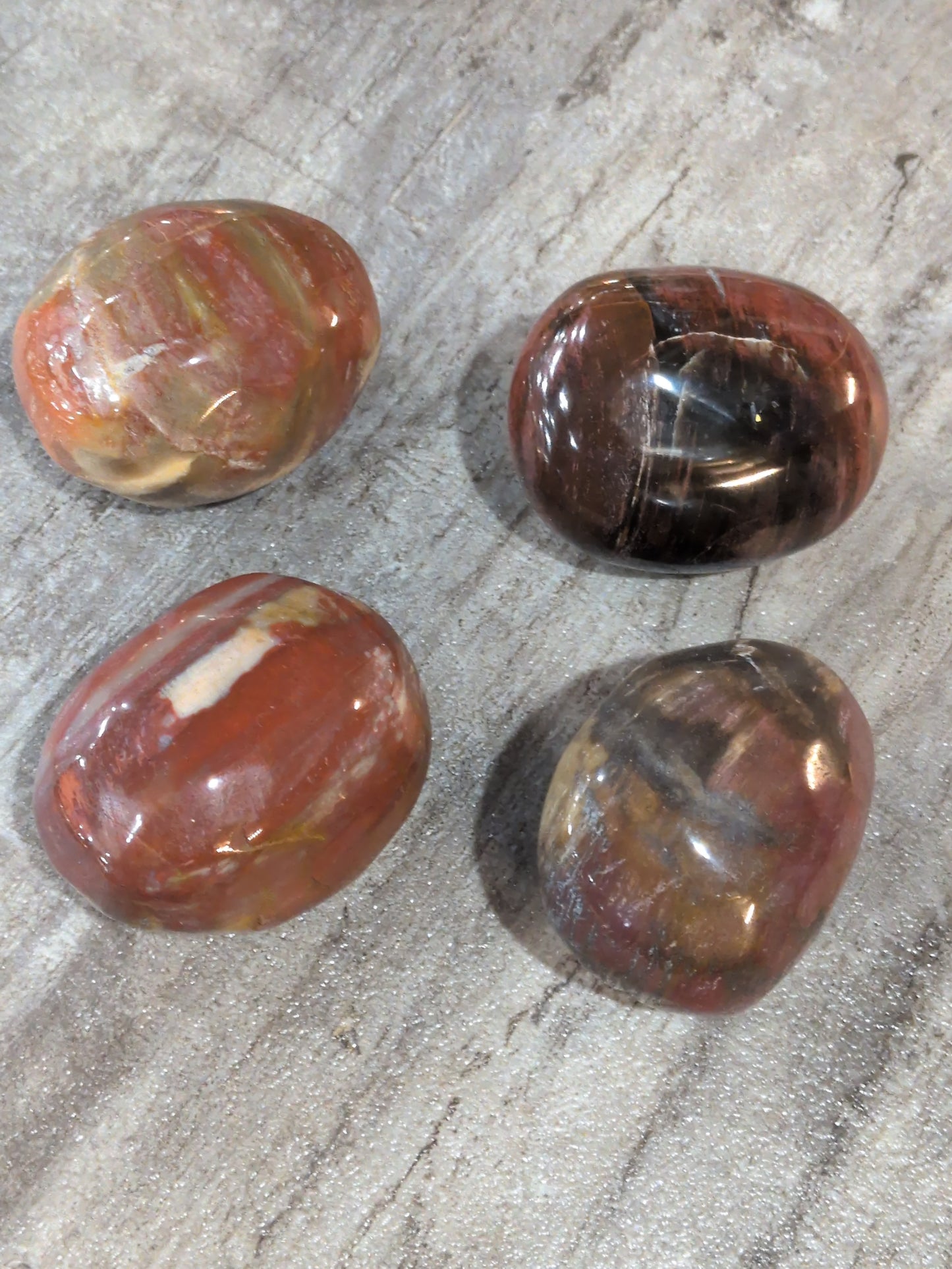 Petrified Wood palm stone
