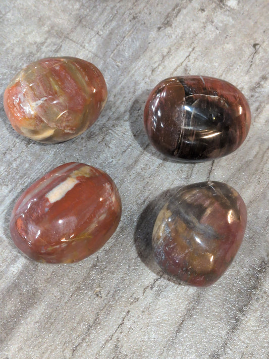 Petrified Wood palm stone