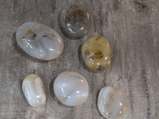 Dendritic Agate palm stone Priced Each