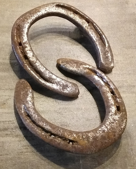 Large Rusty Horseshoe