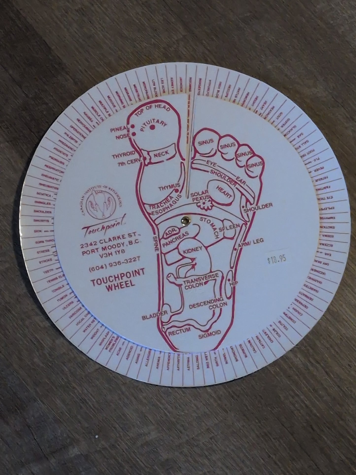Touch Point Wheel- Foot Reflex Laminated Chart