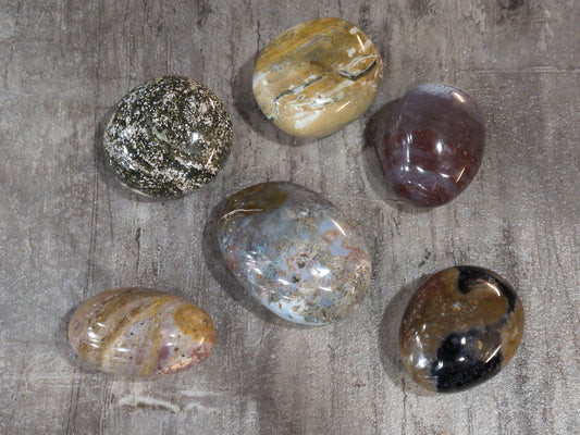 Ocean Jasper palm stone Priced Each