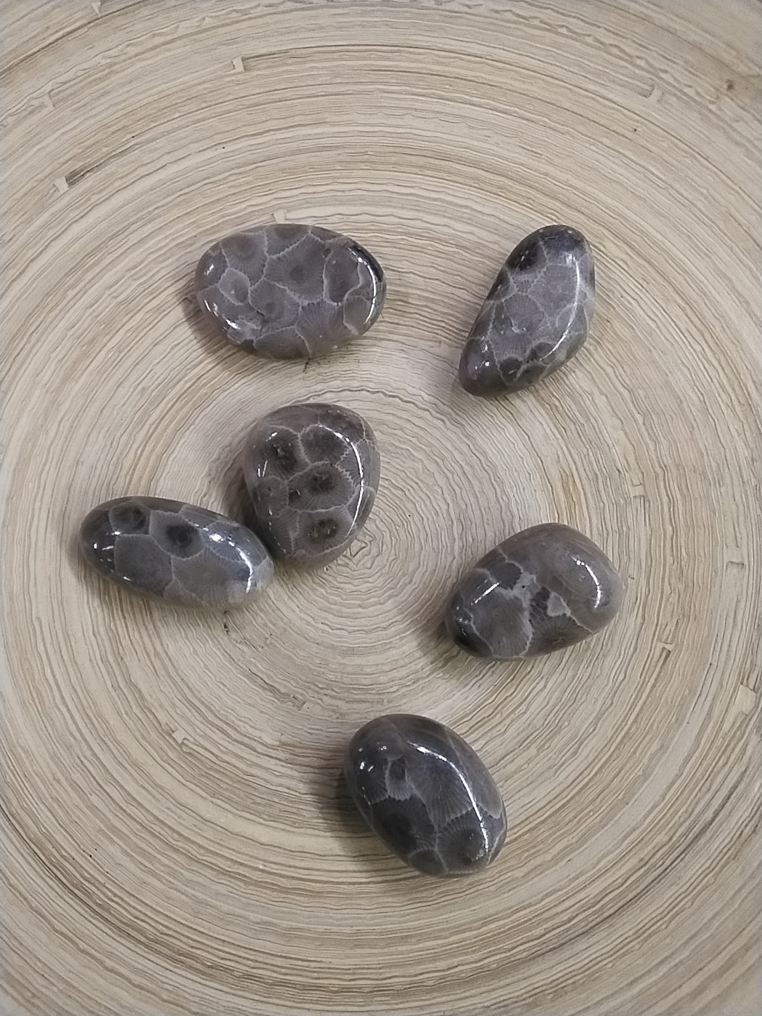 Petosky Stone Tumbled stone