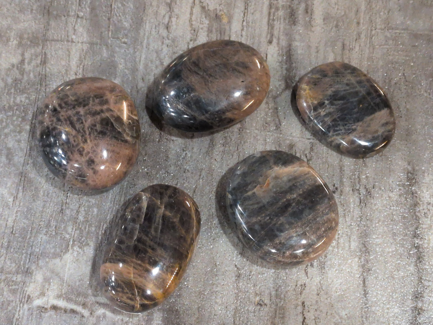 Black Moonstone palm stone