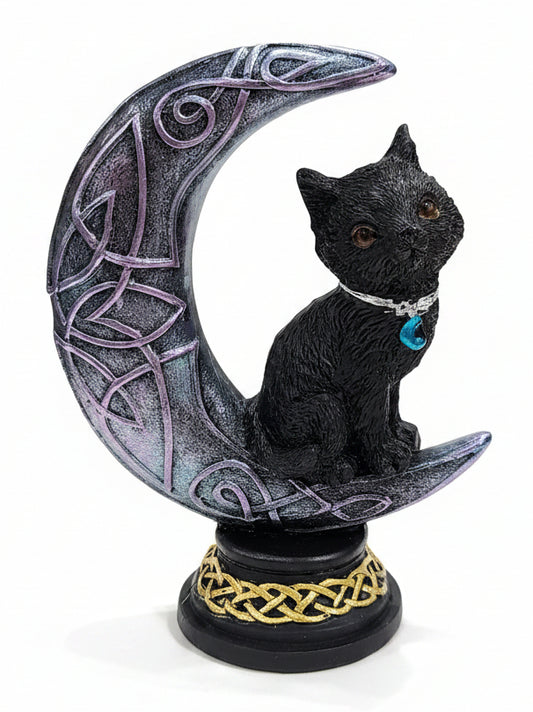 Black Cat on Moon