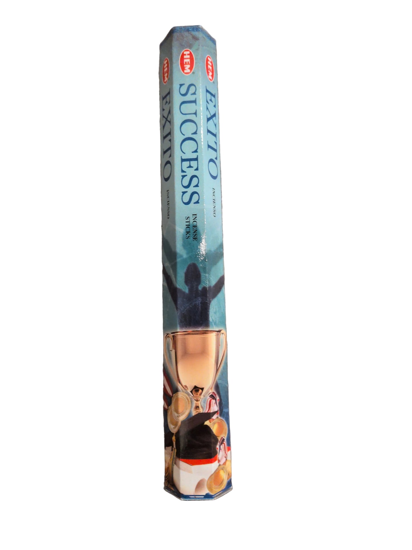 Hem Hexagonal Pack Incense 20 gr Success