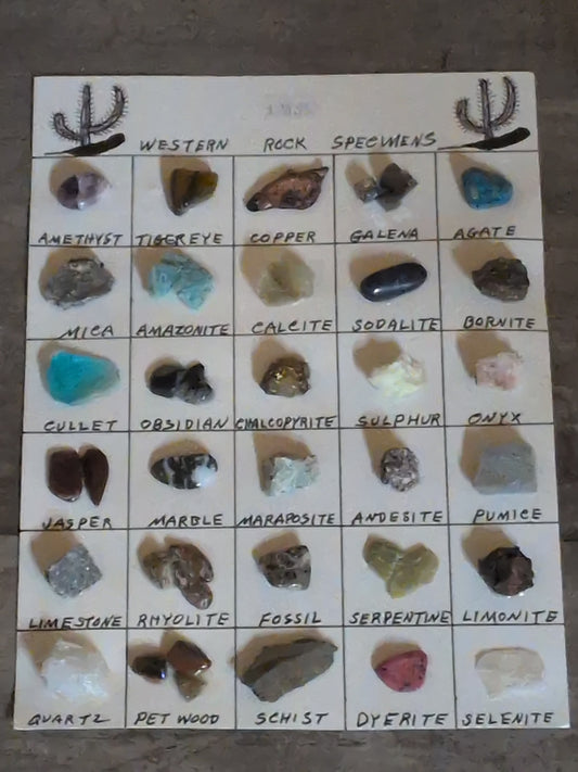 Western Rock Specimens Chart w/ real rock specimens
