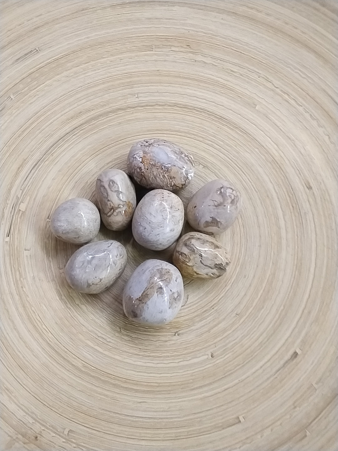 Palm Root Tumbled stone