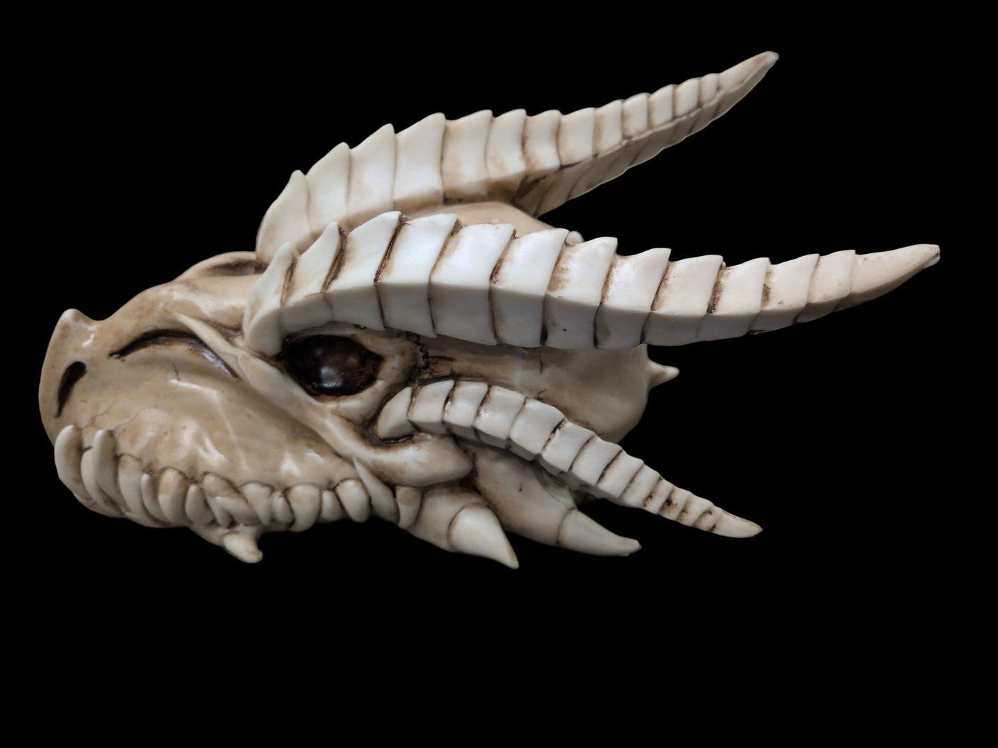 Small Resin Dragon Skull