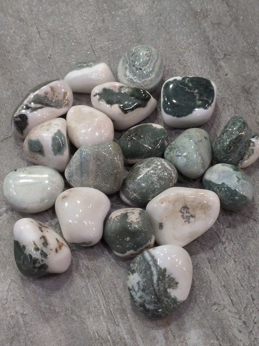 Green/White Sardonyx Tumbled stone
