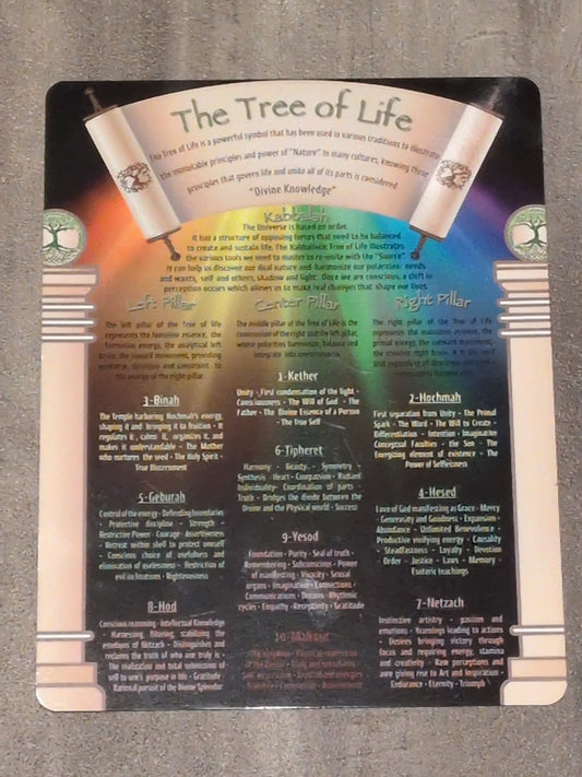 Tree of Life Laminated Chart
