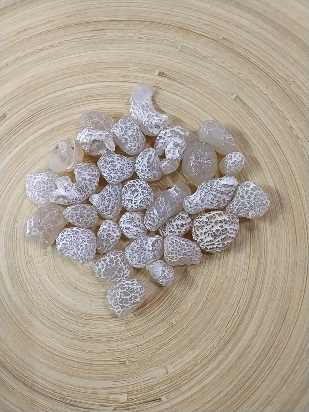 Snakeskin Agate Tumbled Stone
