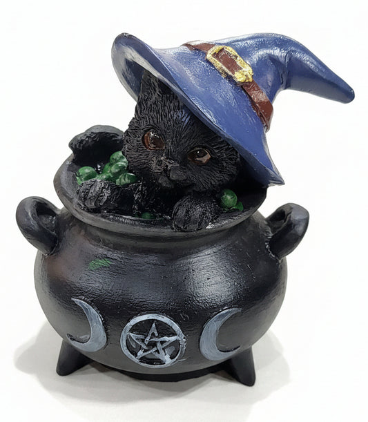 Black Cat in Cauldron