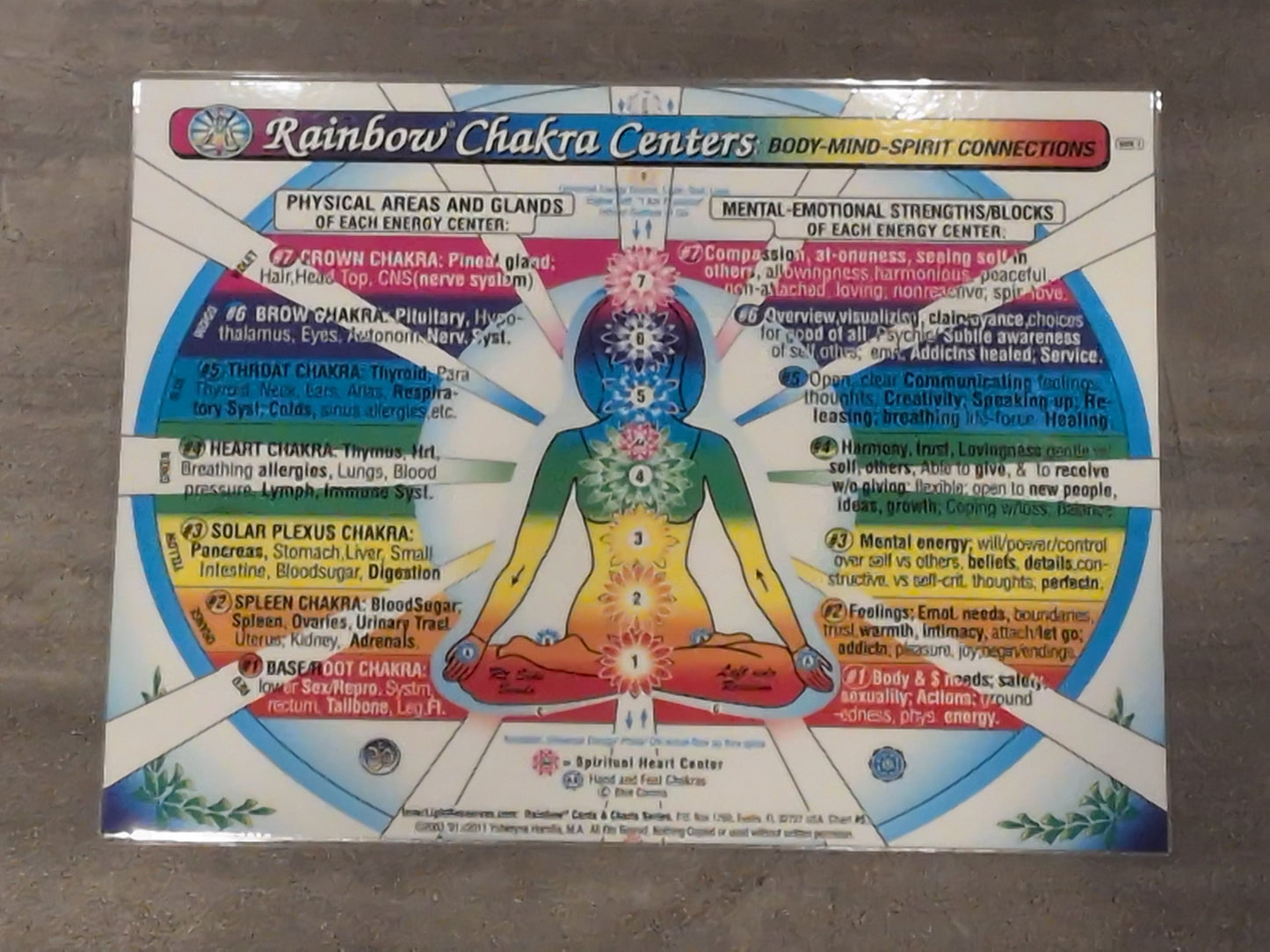 Rainbow Chakra Centers Laminated Chart