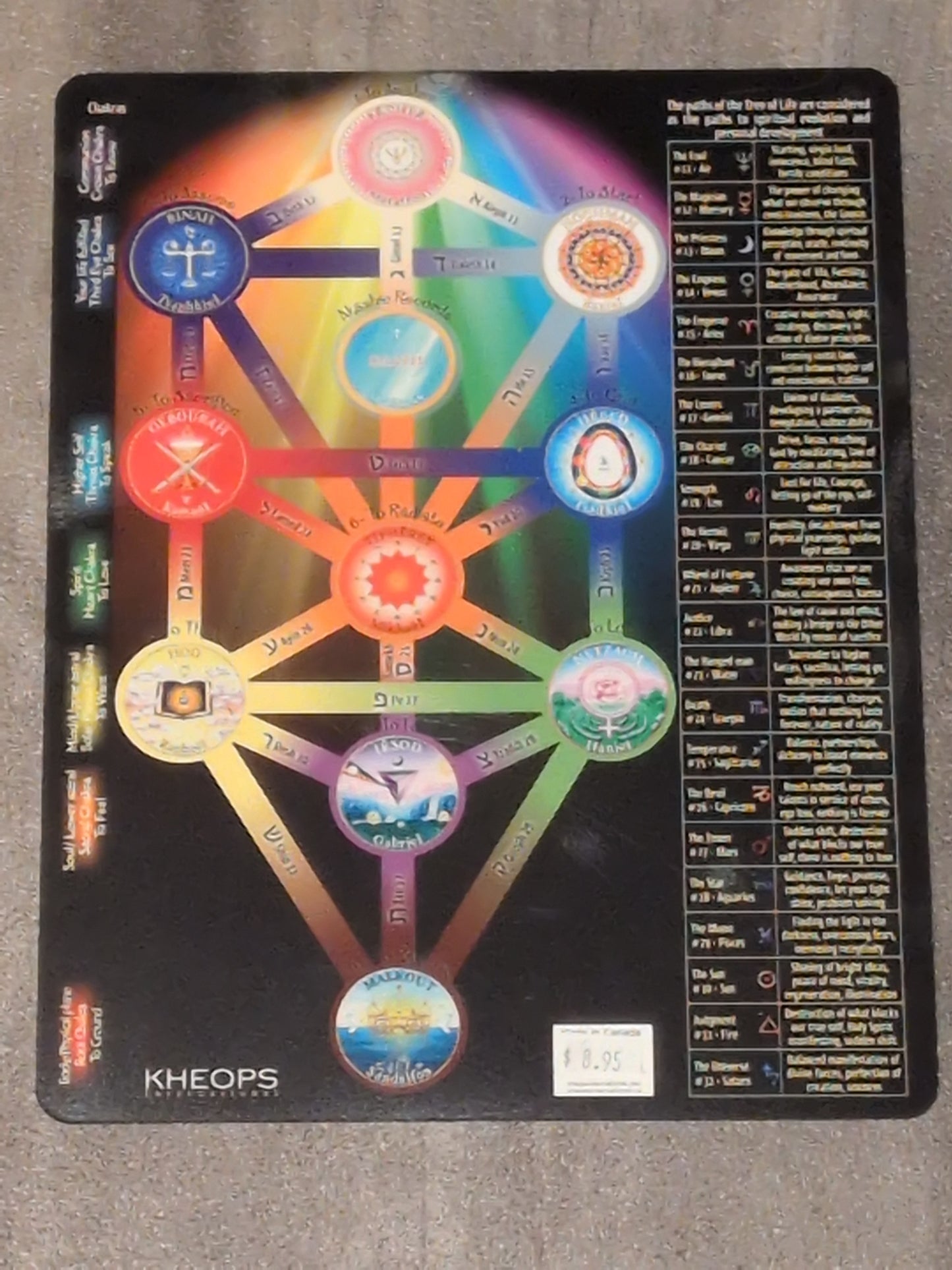 Tree of Life Laminated Chart