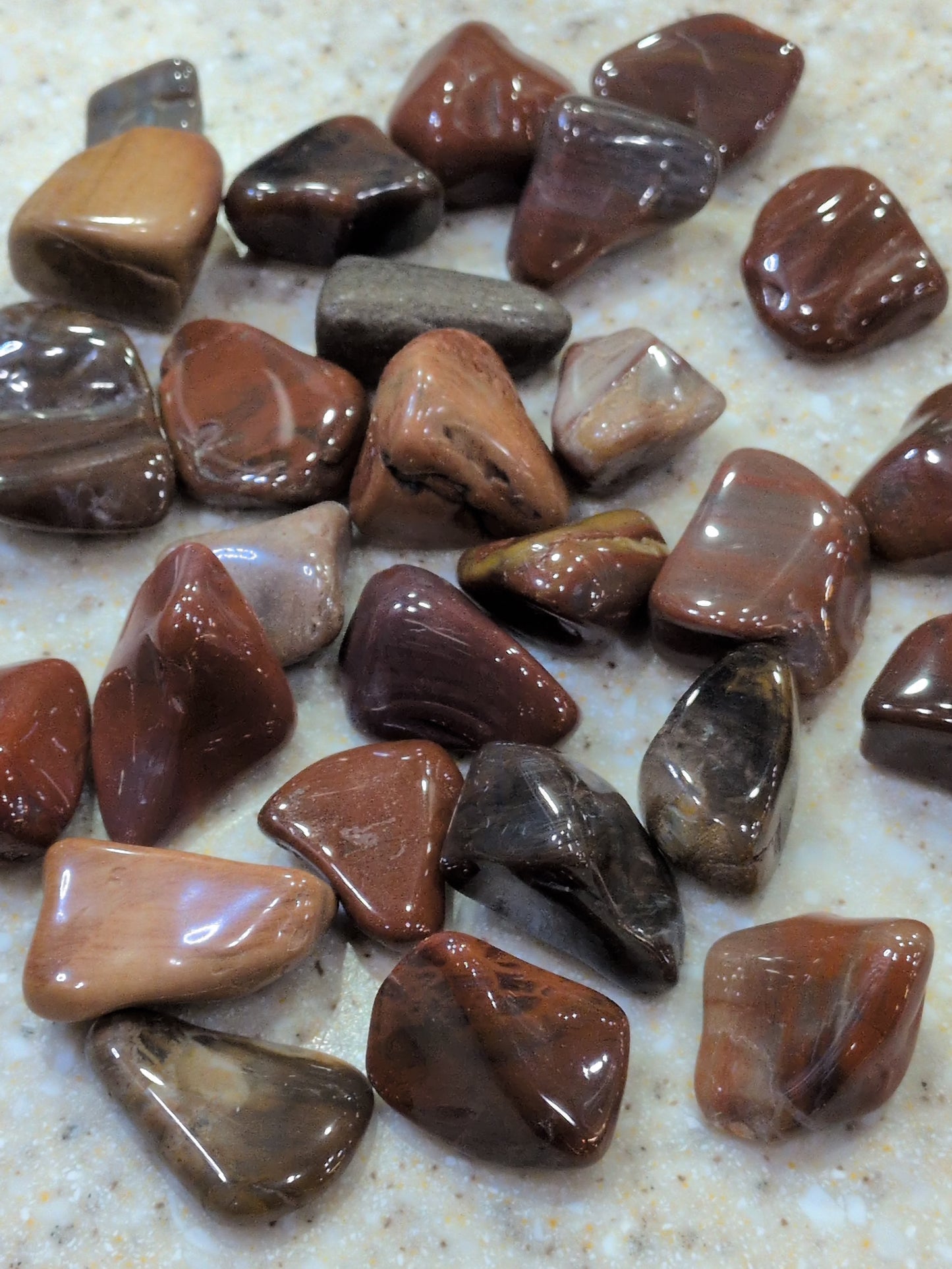 Petrified Wood Tumbled stone