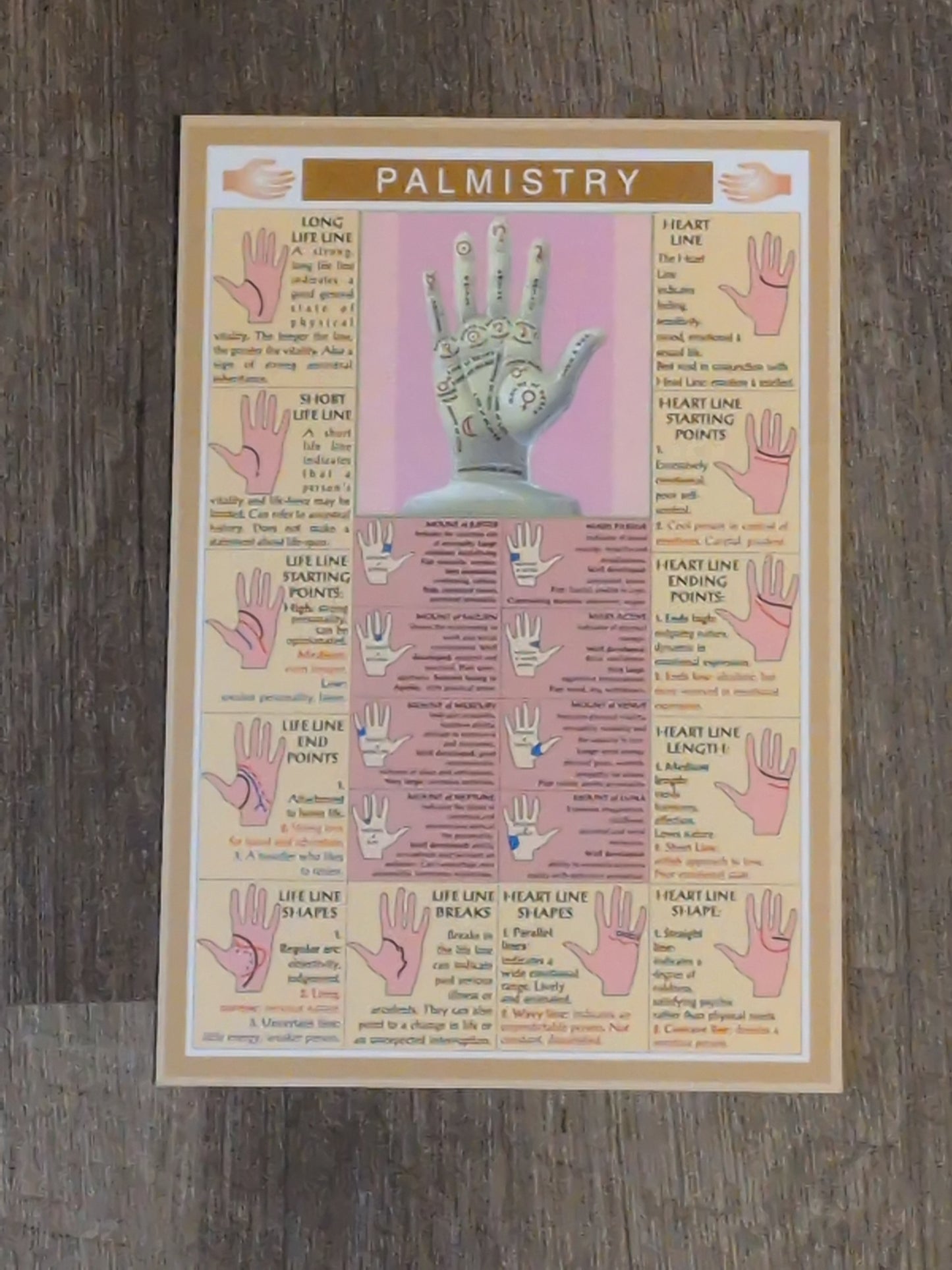 Palmistry Laminated Chart