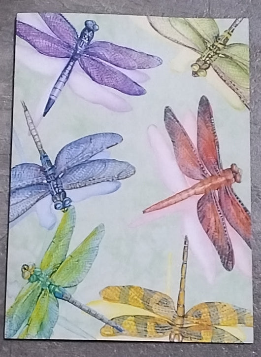Dragonflies Gift Card